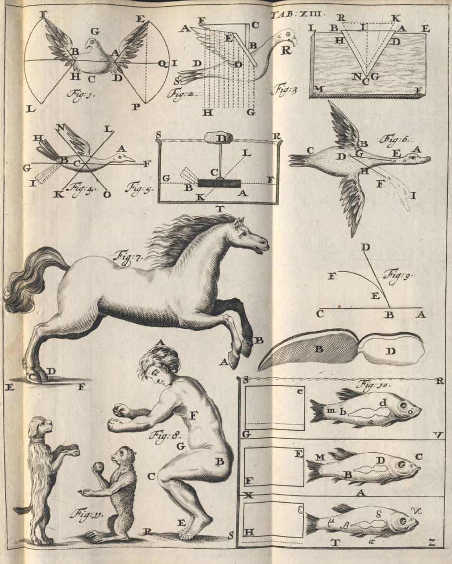 Frontispis spisu italského fyziologa, fyzika a&nbsp;matematika Giovanniho Alfonse Borelliho (1608–1679) <em>De motu animalium</em>, Leyden 1685, a&nbsp;ilustrace z&nbsp;téhož tisku ke kapitole věnované létání ptáků.
